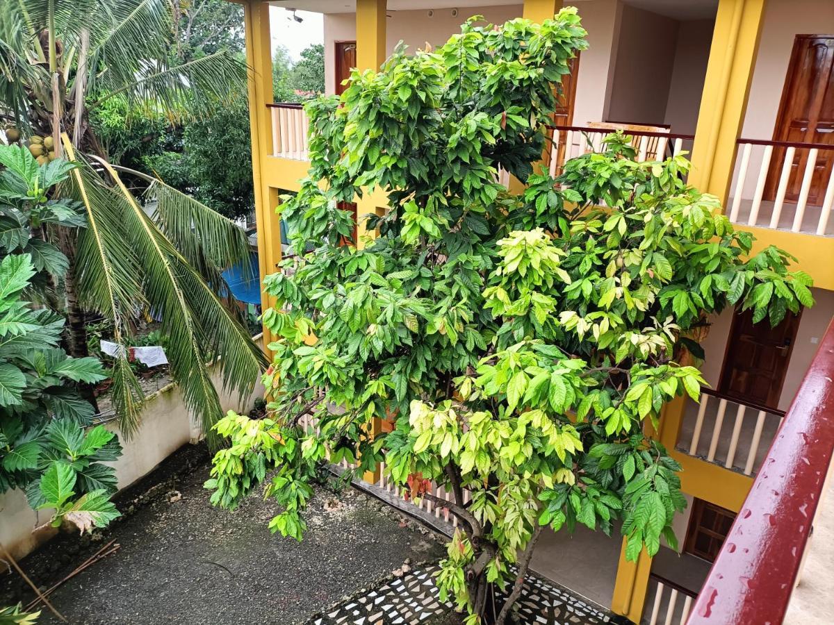 Speed 8 Inn Moalboal Ngoại thất bức ảnh